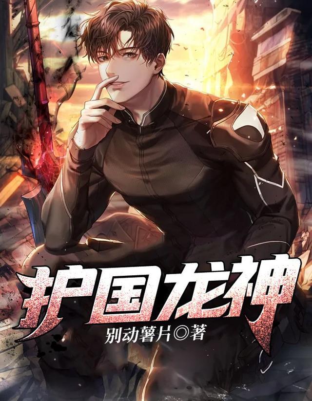 护国龙神全集