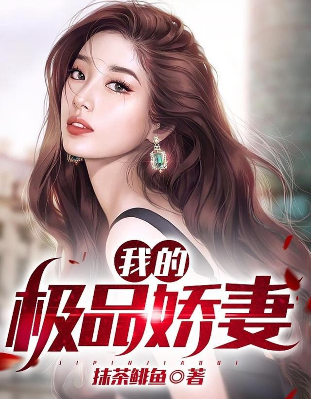 我的极品老婆免费 剧