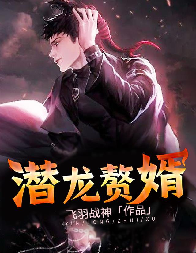 潜龙赘婿 江湖勿见