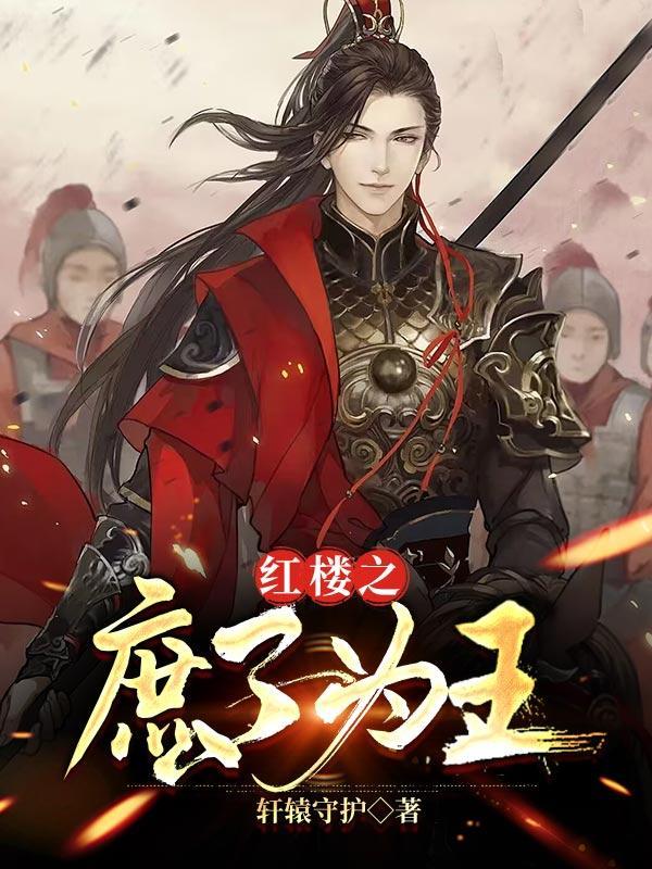 红楼之庶子为王贾琮身世