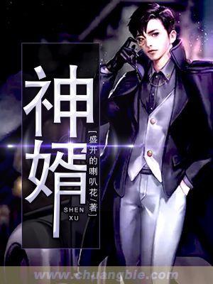 神婿叶昊郑漫儿最新章节免费阅读