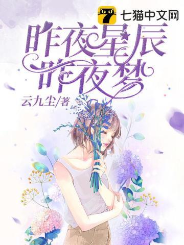 昨夜星辰是什么意思哦