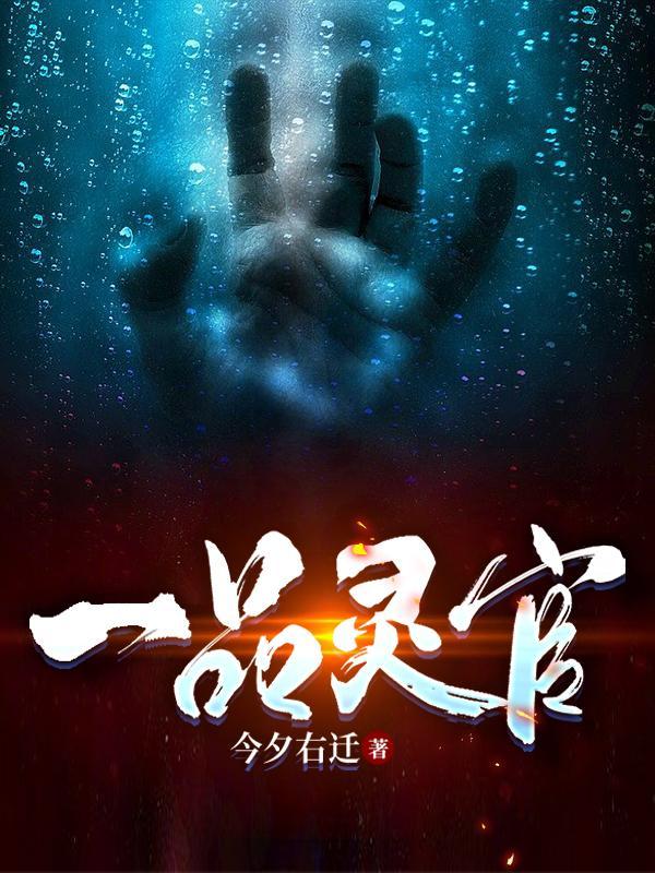 一品灵器是什么意思