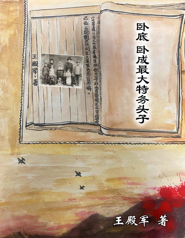 卧底卧成最大特务头子第二卷