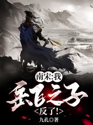 南宋我岳飞之子反了断更