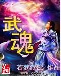 武魂大全