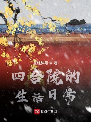 四合院的生活日常笔趣阁