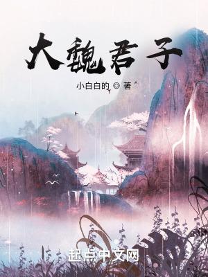 大魏是什么国