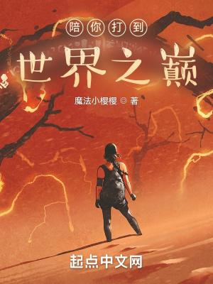 陪你打到世界之巅TXT免费