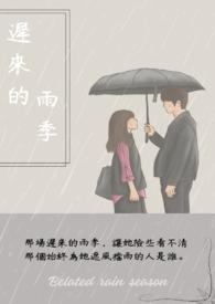 迟来的雨季剧情介绍