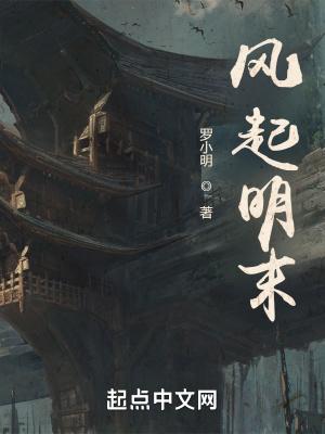 风起明末 作者罗小明