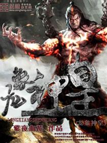 龙象王功