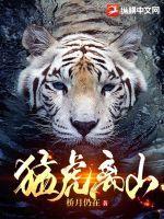 猛虎离山打一肖最佳回答