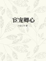 宦宠免费阅读
