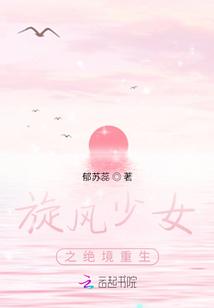 旋风少女之婷宜重生全文免费阅读