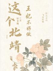 这个王妃有点野全文免费阅读北夜