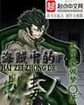 海贼王中药毒雾