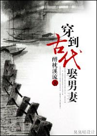穿到古代娶男妻谁是攻