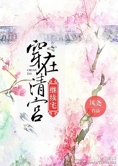 穿越清宫文