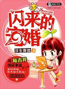 闪来的暖婚陆吉祥结局