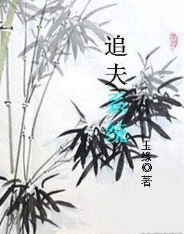 追妻系统