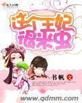 这个王妃有点闹