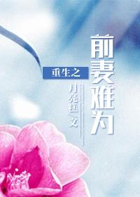 重生之前妻不二嫁