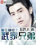 重生神雕之武家兄弟在线阅读