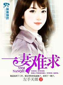 一妻难求免费