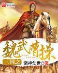 三国指哪三国