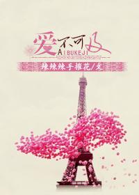 爱不可及丞磊周也