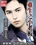 重生之小老板txt