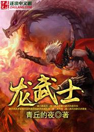 龙武士竿属于什么档次
