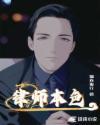 律师本色 波士顿法律