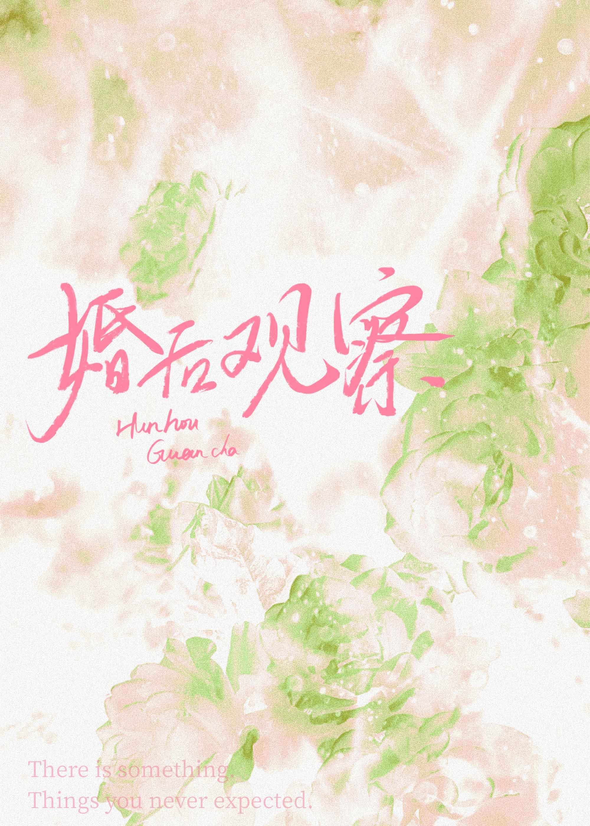 婚后生活综艺节目