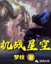 机战星空之恋5劝降攻略19关