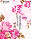 暖春讲的是什么故事