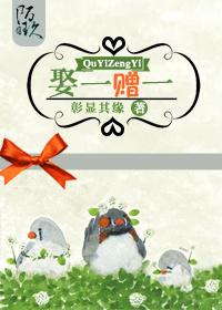 老婆别闹全文阅读