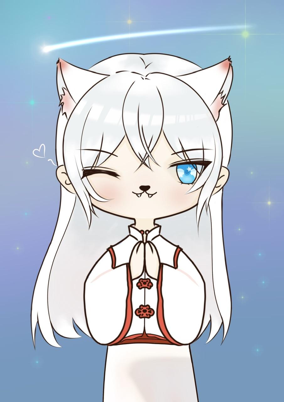原神猫猫阵容