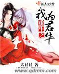 重生之我为君王