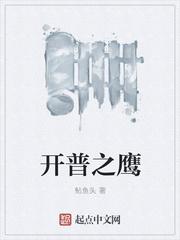 开普之鹰TXT精校版