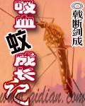 吸血蚊的照片