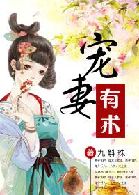 宠妻有术阅读全文