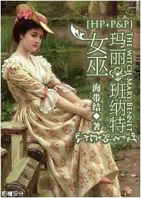 傲慢与偏见之玛丽同人文