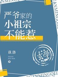 严爷家的小祖宗不能惹txt全本
