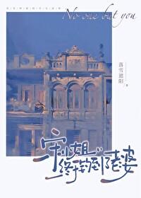 宋小姐终于钓到了老婆晋江文学城