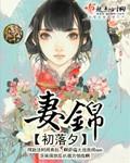 妻锦TXT