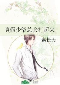真假少爷总会打起来的免费