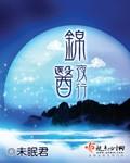 锦医夜行 凤今