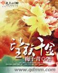 望族贵妻
